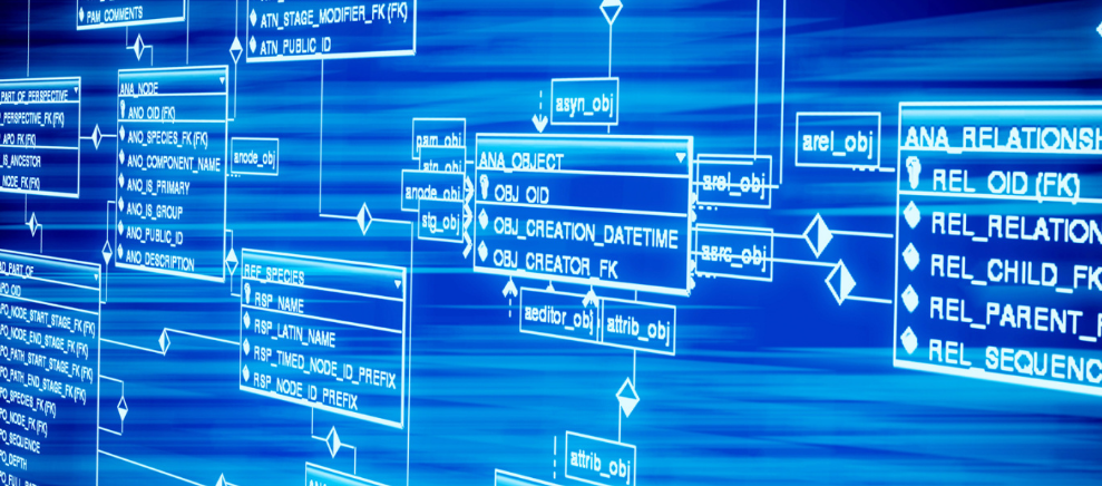 试管婴儿什么时候检查胎心胎芽